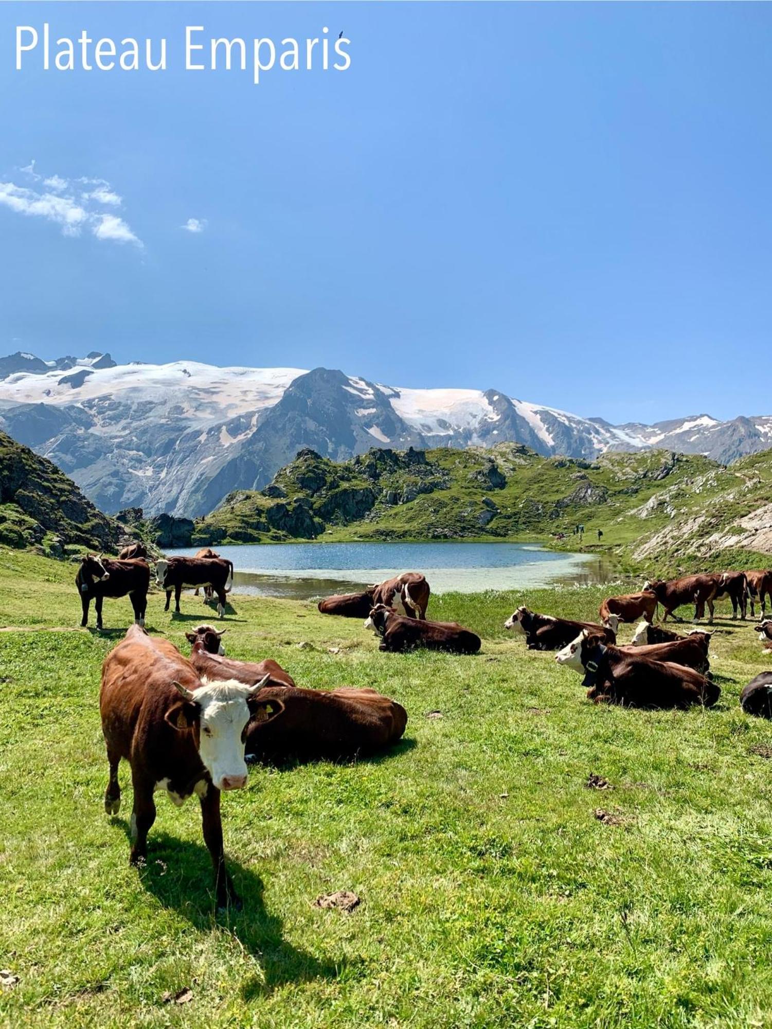 Le Dune Logement Le Bourg-dʼOisans 외부 사진